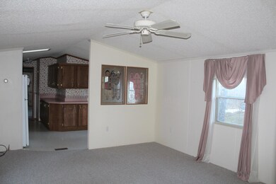 IMG_2537 (2)