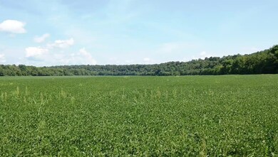 0 Slink Shoals Rd unit 2102638, Linden, TN 37096 - photo 4