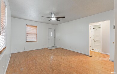 416 N Hamilton St, Lincoln, IL 62656 - photo 4