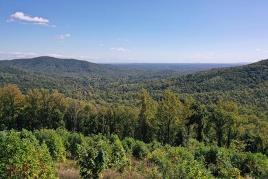 DJI_0354