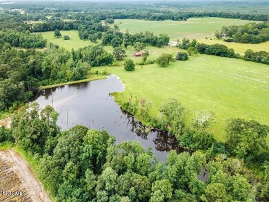 40.14 Ac Hwy 63, Lucedale, MS 39452 - photo 7