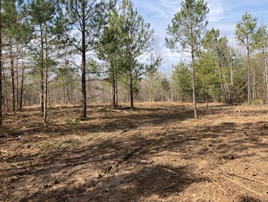 0000 Riddle Mill Rd, Clover, SC 29710 - photo 3