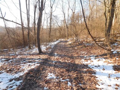 0 Chestnut Ridge Rd unit 4247055, Danville, OH 43014 - photo 4