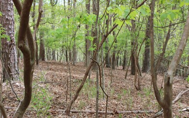 Additional View