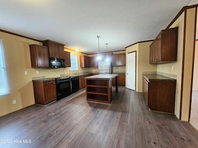 97 Lacewell St, East Arcadia, NC 28456 - photo 6