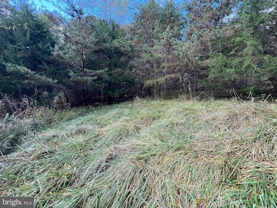 Lot 6 Deep Run Hollow, Delray, WV 26801 - photo 4
