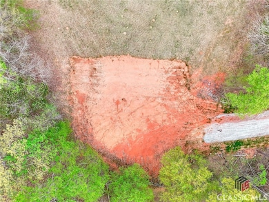 0 Falcon Ln unit 1024877, Carnesville, GA 30521 - photo 5