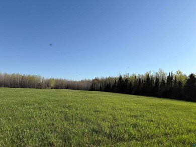 View of grassy yard with a forest view and a view of rural / pastoral area