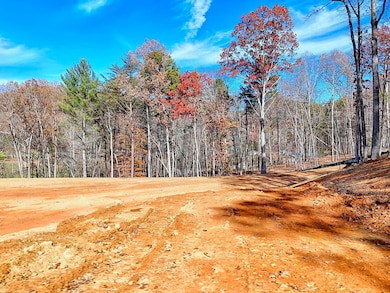 223 Watkins Rd, Blairsville, GA 30512 - photo 6