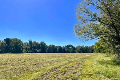 02 Manchac Rd, Saint Gabriel, LA 70776 - photo 4