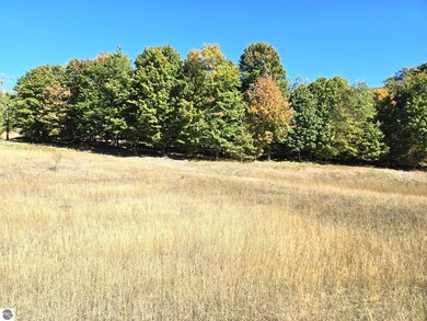 0025 Heather Ridge Trail, Beulah, MI 49617 - photo 7