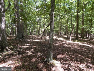 LOT 10 Farside Ln, Berkeley Springs, WV 25411 - photo 7
