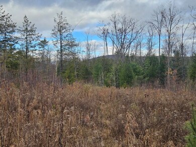 L52 Bridgton Rd, Sweden, ME 04009 - photo 5