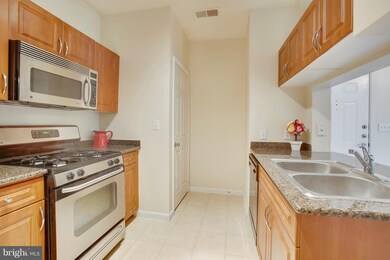 Bryson At Woodland Park unit 308, Herndon, VA 20171 - photo 6