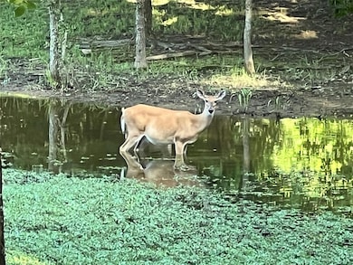 435562 E 1630 Rd, Tuskahoma, OK 74574 - photo 6