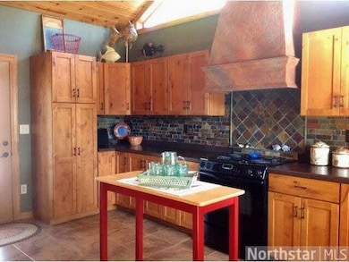 29971 Cranberry Ln, Danbury, WI 54830 - photo 4