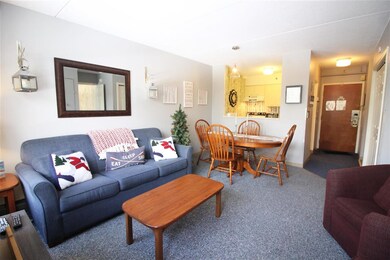 28 Packards Rd unit 216, Waterville Valley, NH 03215 - photo 2