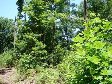 0 Lees Crossing Ln unit 12 38314, Appomattox, VA 24522 - photo 4