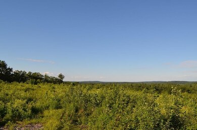 15 Chestnut Ln, Littleton, MA 01460 - photo 3