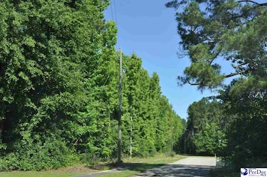 TBD Lots 1-7 Bundy St, Clio, SC 29525 - photo 2