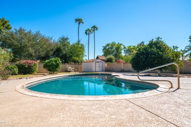 Beautiful Pool