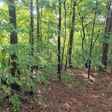 View of landscape