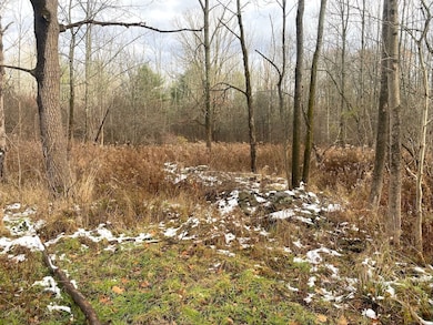 County Road 15, Fillmore, NY 14836 - photo 2