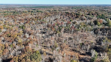 01 Tirzah Church Rd, Marvin, NC 28173 - photo 7