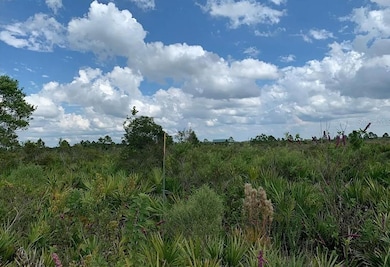 48341 Bermont Rd, Punta Gorda, FL 33982 - photo 3