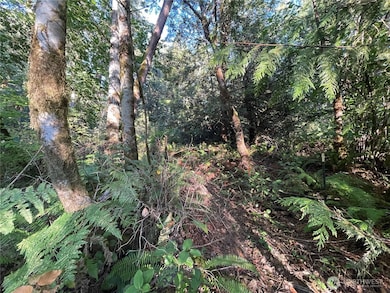 8900 Adams Ln NW, Olympia, WA 98502 - photo 7