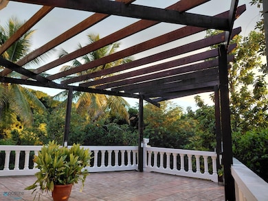 K.M. 5.6 Carretera 151 K M 5 6, Villalba, PR 00766 - photo 7