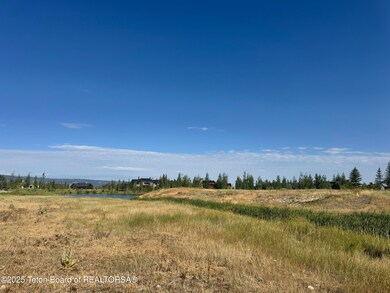 910 Dusty Maiden Ct, Driggs, ID 83422 - photo 6