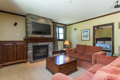 759 Stratton Mountain Access Rd unit 134, Stratton, VT 05340 - photo 5