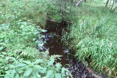2 Mitchell Creek-WR