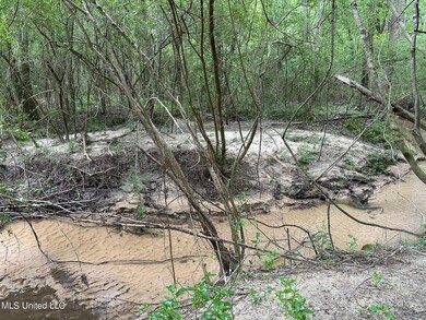 Creek1