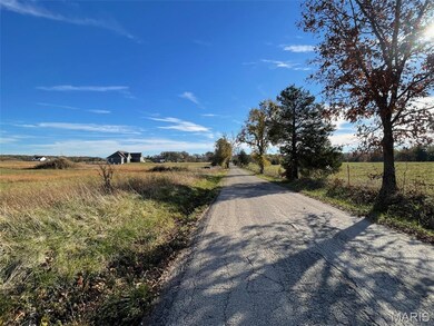 3300 Worley Rd, Farmington, MO 63640 - photo 6