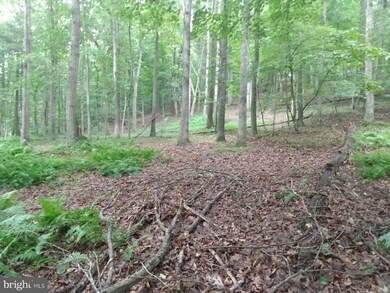 11 Pleasant Dale Ln, Great Cacapon, WV 25422 - photo 2