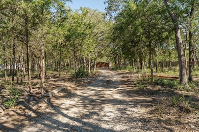 View of road with a forest view