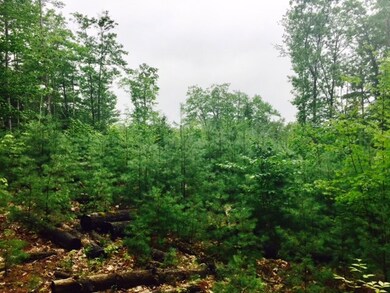 Lot 8 Gordon Hill Rd, New Hampton, NH 03256 - photo 3