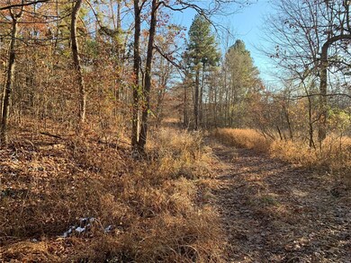 0 S27 T25 R4 unit 19084386, Poplar Bluff, MO 63901 - photo 3