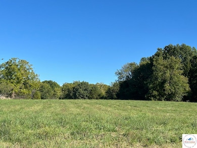 0000 Shenandoah, Tom Township, MO 65355 - photo 2