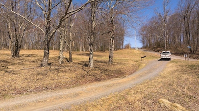 TBD Grandview Dr, Meadows of Dan, VA 24120 - photo 3