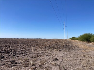 ~87 Acres County Road 339, Alice, TX 78332 - photo 7