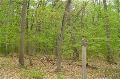 0 N Felch Ave unit 12029441, Sherman Township - Newaygo, MI 49349 - photo 2