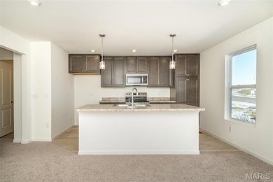 80 Mora Blvd unit 436-402, O'Fallon, MO 63368 - photo 4