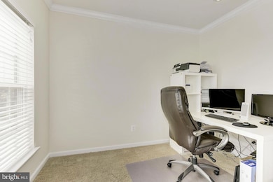 22783 Settlers Trail Terrace, Ashburn, VA 20148 - photo 7