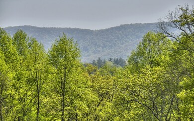Additional View