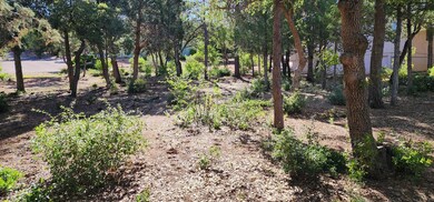 Lot 58 Alpine Heights (5)