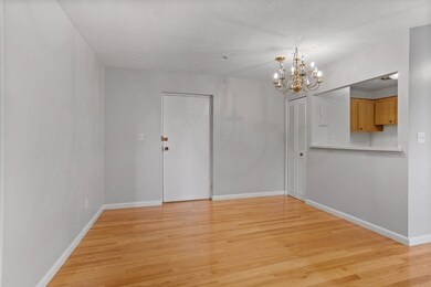 Hillview Condominium unit 557, West Roxbury, MA 02132 - photo 4