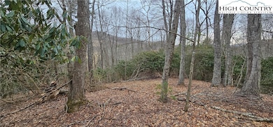 Lot 3 Raven Rock Dr, Boone, NC 28607 - photo 2